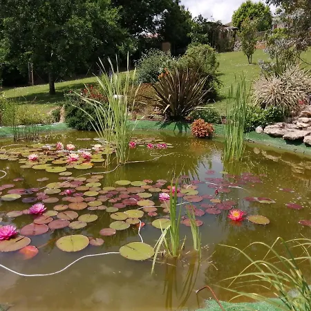 Bed & Breakfast D'hotes Les Nenuphars