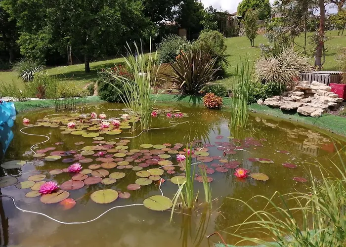 Bed and breakfast D'hôtes Les Nénuphars